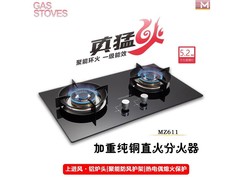÷˼MZ611