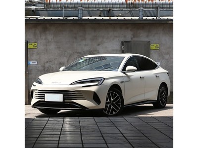 ǵ 07 2025 Ǽݰ DM-i 1.5L 70km Ӣ