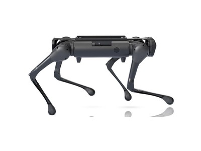  Aliengo