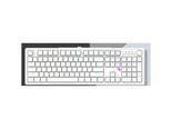 HELLO GANSS GS3104TPro KTT晶粉轴 白色