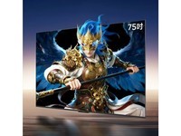 雷鸟鹤6 26款 75英寸（75R69A）