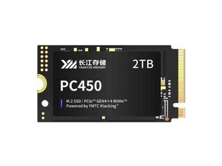 洢PC450 M.2 2242 1TB