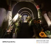 OPPO Find X9 Pro(12GB/256GB)������6