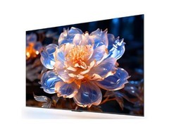 ��ΪVision�ǻ��� 5 SE������ 65Ӣ��