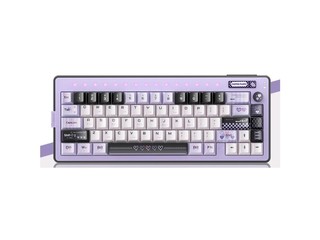 reccazr ֽɻ66 TTC ɫ/ɫ