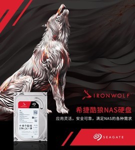 ϣ��10T ���� ��ҵ�� NAS �洢Ӳ�̴���