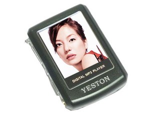 ӯͨYN-ZIPO256MB