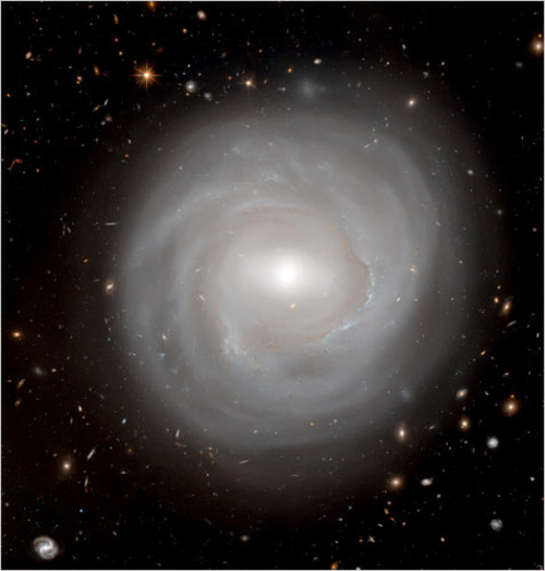 影像频道 博览 《纽约时报》发布壮观太空照片 旋涡星系ngc4921是一种