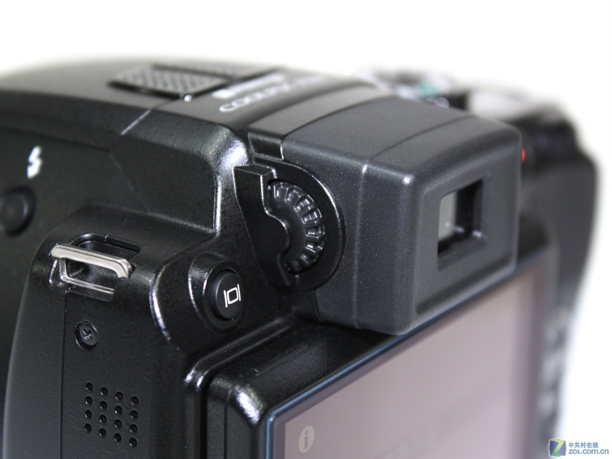 【高清图】 尼康(nikon)p100局部细节图 图48