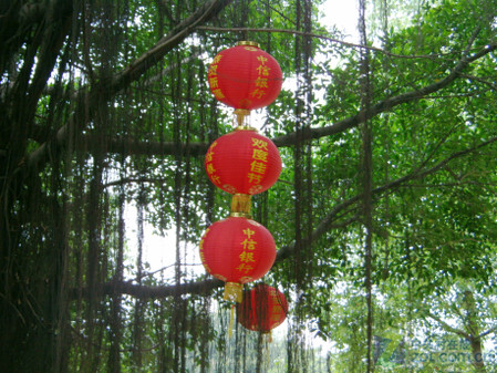 �콢��ȫ����DV ����HD-A85������� 