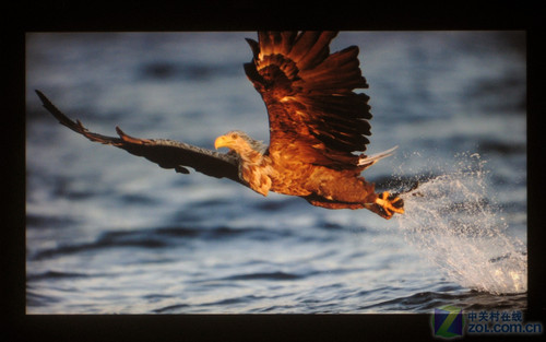 3���ʱ�+��Ǧ! ����ʱ��16:9Һ������ 