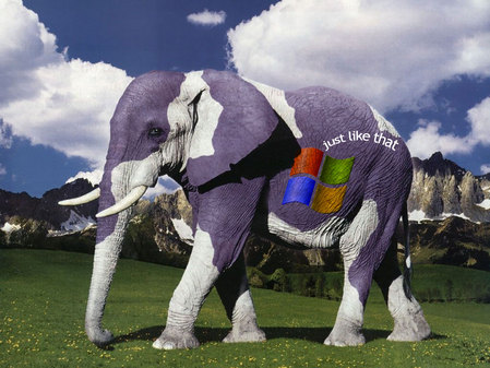 Windows XP主题桌面高清晰壁纸欣赏三_msn最新版本下载_软件学院_中关村在线
