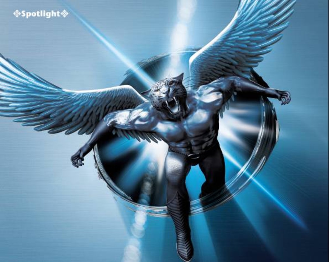 【高清图】 延续top经典 湖南华硕豹人至强游戏显卡图3