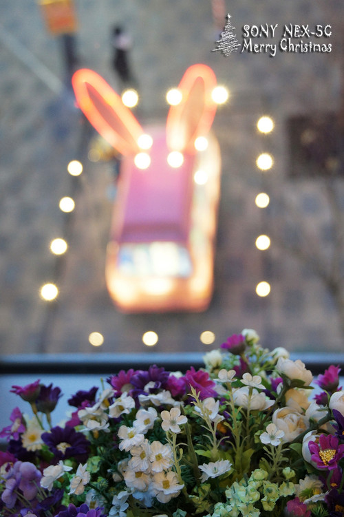 ���������ʥ���� ����NEX5���������� 