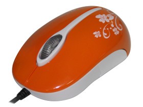 ceCOjSdBHtcPU.jpg
