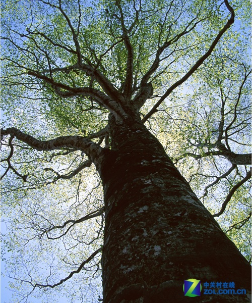 亲历2011笔电回归主线平板打响专利战