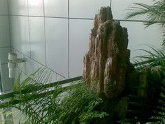 200������������� ŵ8800Sirocco���� 