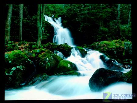 1999Ԫ�ع� ��AOCС��Ħ��Һ��177P+ 