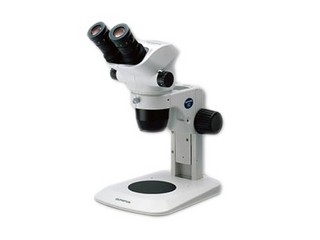 ���ְ�˹SZ61GFP-S