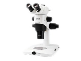 ���ְ�˹SZX10-1111