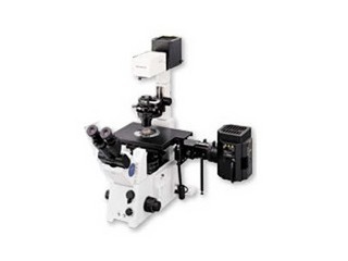 ���ְ�˹IX71-A21PH