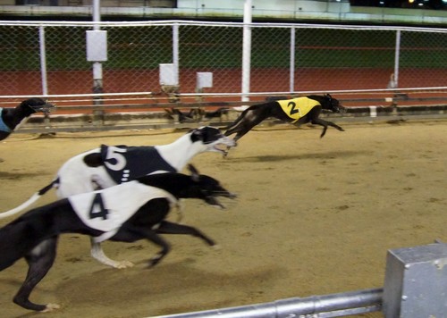 ������Ѿ�� ���ᵥ�����A57�μǵڶ��� 