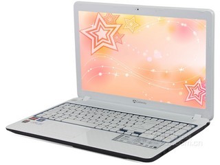 Gateway NV52L06c-84504G50Mnwb