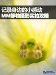 记录身边的小感动 MM静物摄影实拍攻略