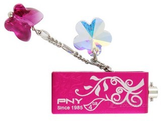 PNY ˮ֮4GB