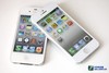 仯 iPhone5ģͶԱ4S