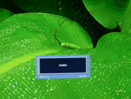 ��ʯ��Ӳ�Ⱦ��� ����˶VW192G����LCD 