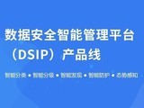 ͨй¶ϵͳDLP V5.0 Syc17