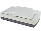 �о�D3600K
